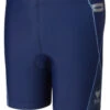 Tyr Men's Triathlon Splice 5 Inch Race Short - Blueberry (Small) -Cycling Gear 71x3SqudUTL. SL1500