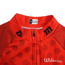 M&Ms Men's Winter Long Sleeved Warm Fleece Cycling Jersey -Cycling Gear HTB1c9kycWLN8KJjSZFmq6AQ6XXaP