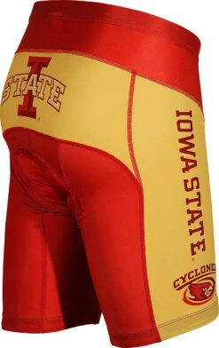 Iowa State Cyclones Men's Cycling Shorts (Small) -Cycling Gear Iowa State Cycling Shorts Back 1c9206ce 2dcd 4dca 8eee 999ecfc7384f
