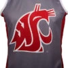 Washington State Cougars Men's RUN/TRI Singlet (XL, 2XL, 3XL) -Cycling Gear WSU RUN