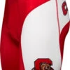 Cornell University Bears Cycling Shorts X-Large -Cycling Gear cornell short front