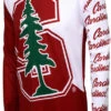 Stanford Cardinal MTB Cycling Jersey (S, M, L, 2XL) -Cycling Gear stanford mtb